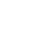 Roaming white icon